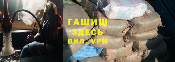 сатива Беломорск