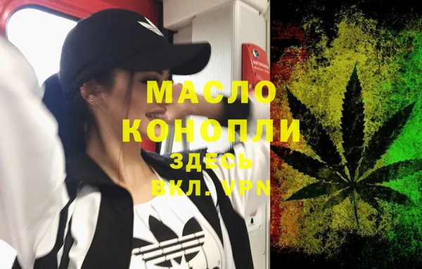 тгк Ельня