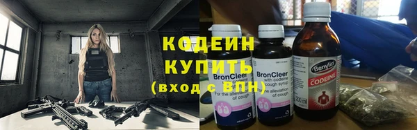 сатива Беломорск