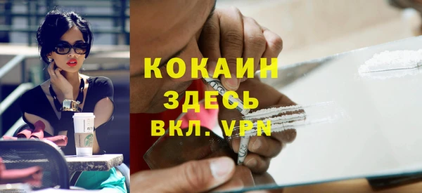 сатива Беломорск