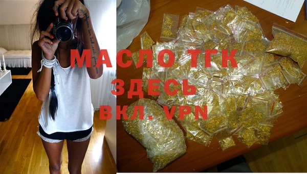 индика Коряжма