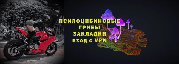PSILOCYBIN Белокуриха