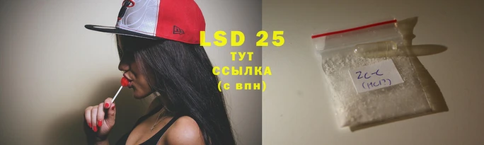 PSILOCYBIN Белокуриха