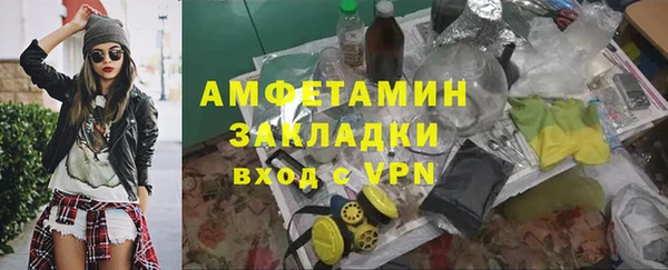 сатива Беломорск