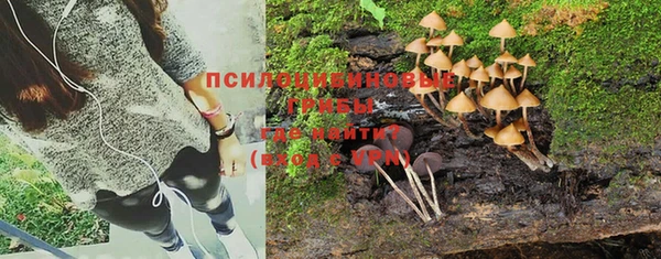 винт Богданович