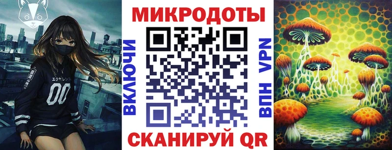 Псилоцибиновые грибы Cubensis  даркнет наркотические препараты  Сковородино 